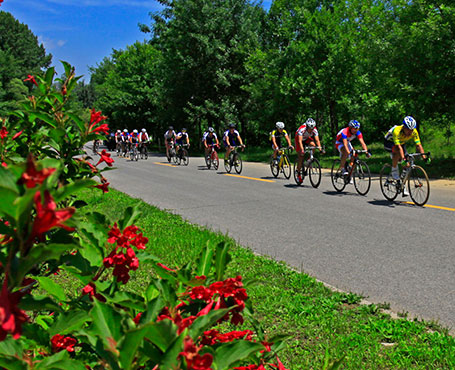 京西北旅游宣傳網(wǎng)站|一網(wǎng)天行-網(wǎng)站建設(shè)小程序APP系統(tǒng)軟件開(kāi)發(fā)公司