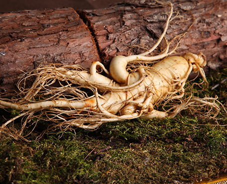 正德藥業(yè)-品牌營銷網(wǎng)站