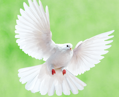 野谷集團(tuán)網(wǎng)站