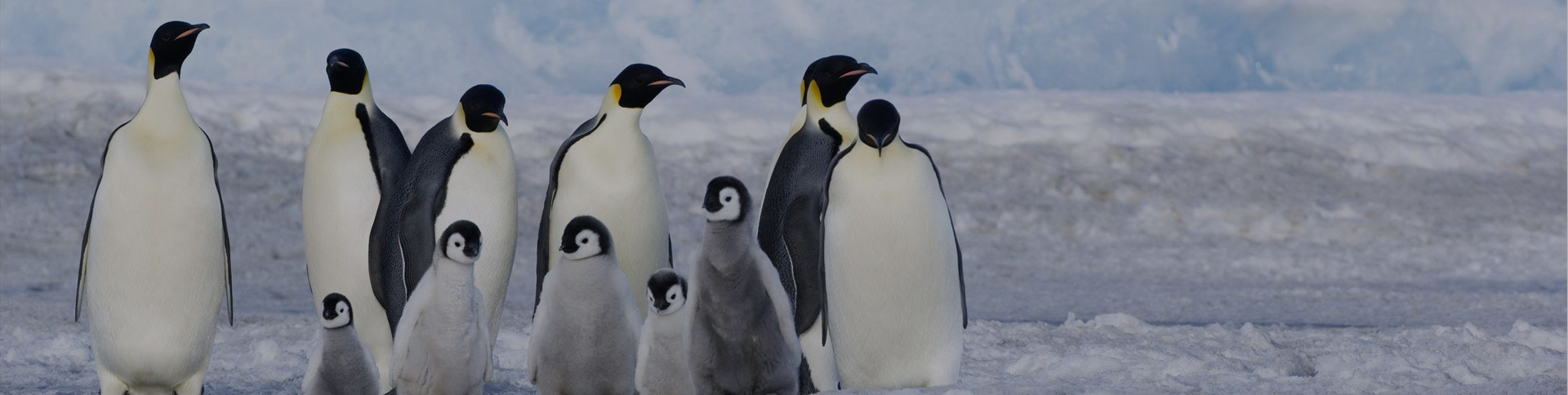 海信日立-微信工單報修服務(wù)號平臺|一網(wǎng)天行-網(wǎng)站建設(shè)小程序APP系統(tǒng)軟件開發(fā)公司